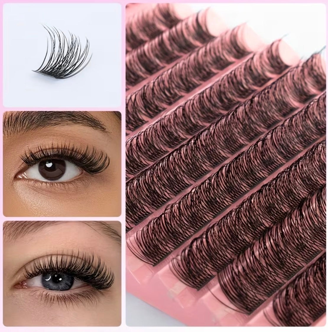 •	𝒯𝒽𝑒 𝒸𝓁𝒶𝓈𝓈𝓎 𝑜𝓃𝑒 ✨